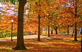 Peaceful Autumn Scene